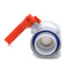2-inch A-type ball valve with 70mm floating nut for Schutz tank
