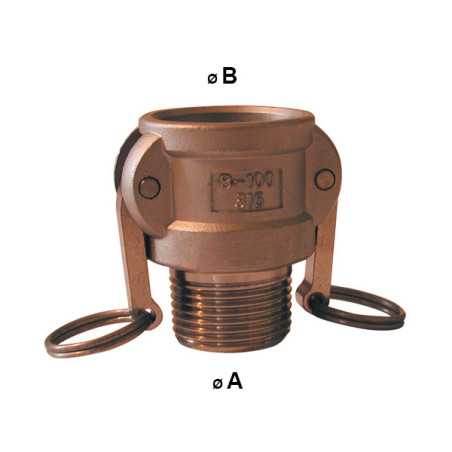 Camlock-Kupplung - Gewinderohr aus Messing - Typ B