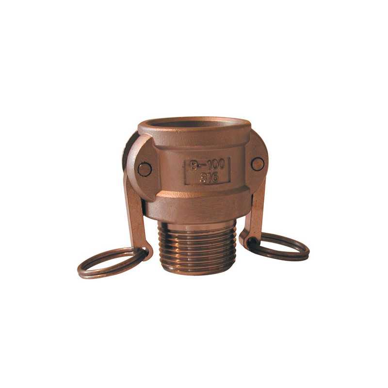 Female Camlock Connection - Brass male threaded tip - Type B