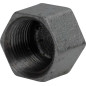 Female Malleable Cast Iron Cap with Black Heart